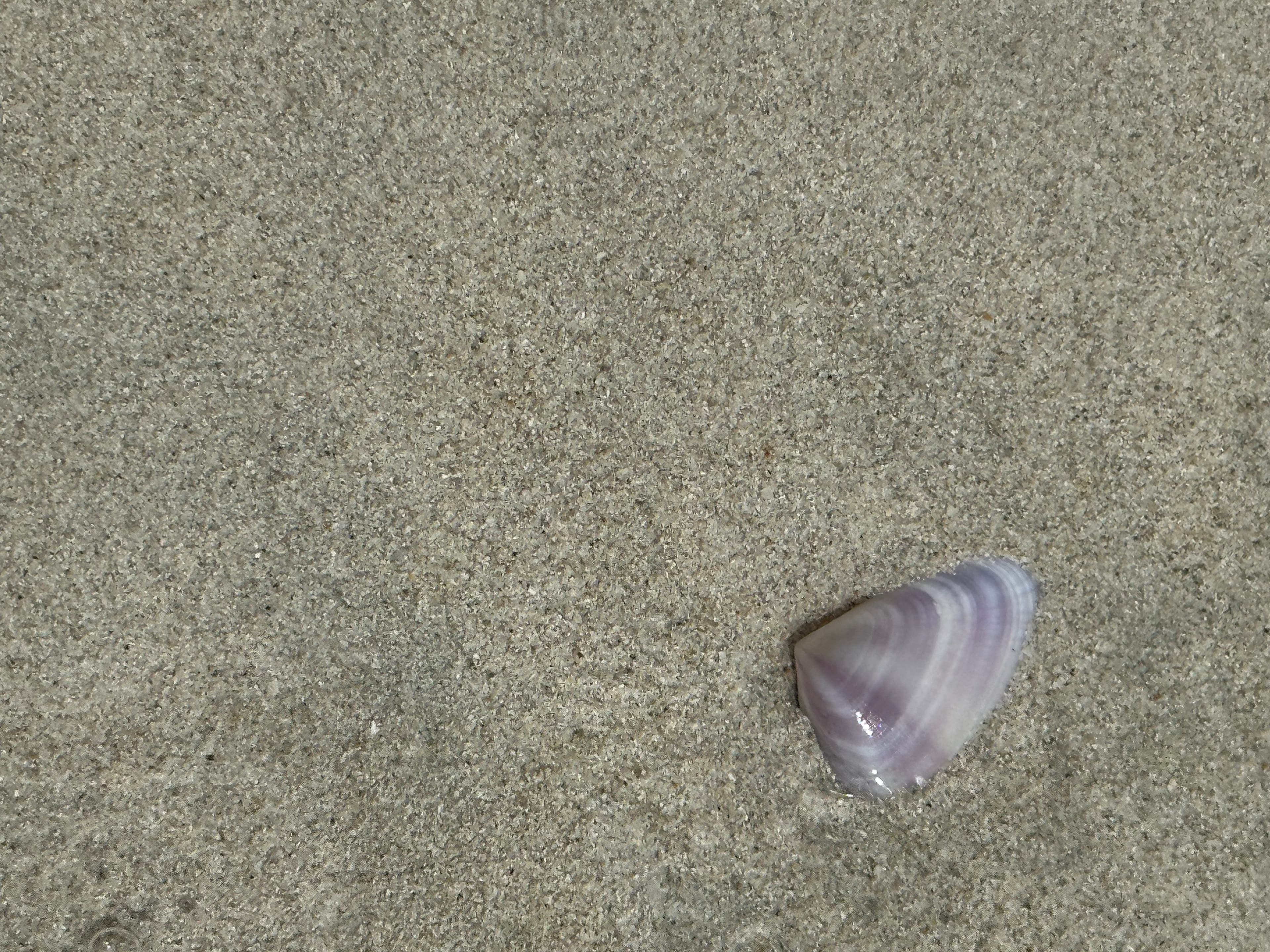 Initial Consultation